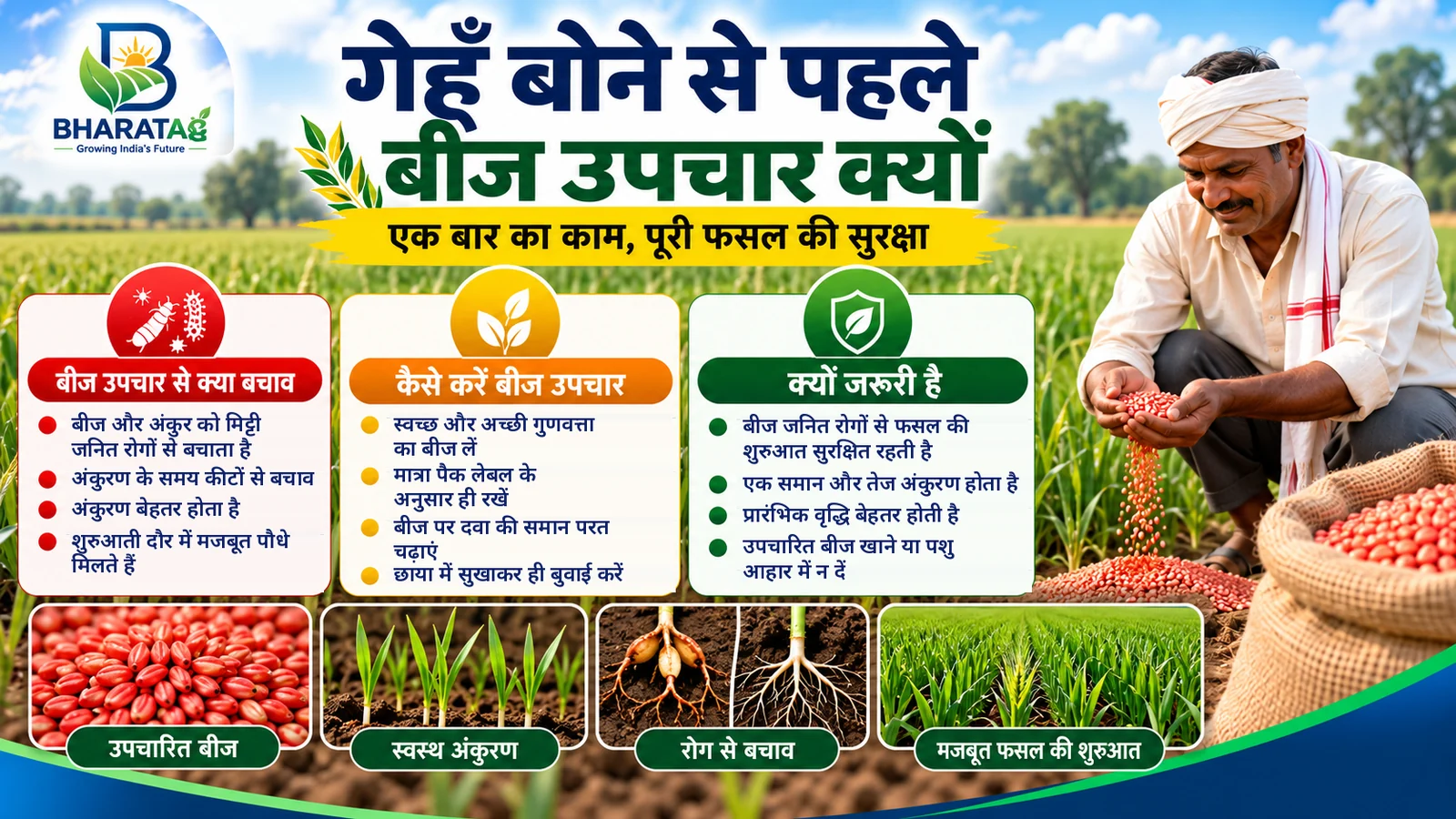 Hindi cover: farmer pouring treated wheat seed from a sack, with healthy wheat seedlings and roots