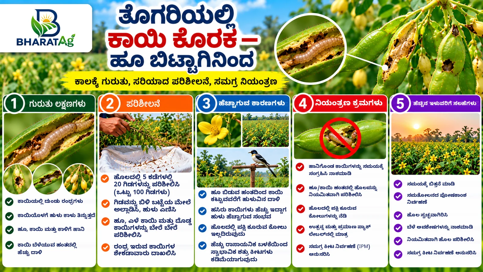 Kannada cover: pod borer larva inside a pigeonpea pod, the cloth-shake check, bird perches and control steps