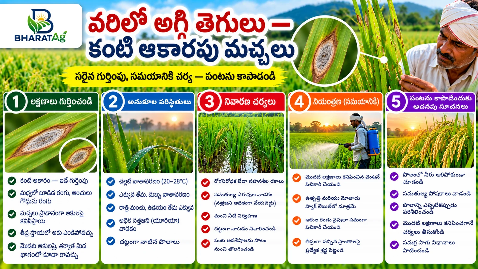 Telugu cover: eye-shaped rice blast spots, the conditions that favour blast, prevention and timely control, with a farmer checking the crop