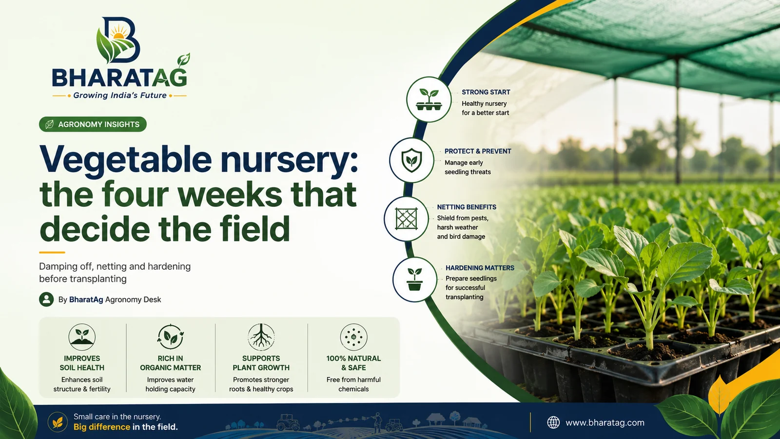 Vegetable nursery: the four weeks that decide the field — BharatAg Crop Science