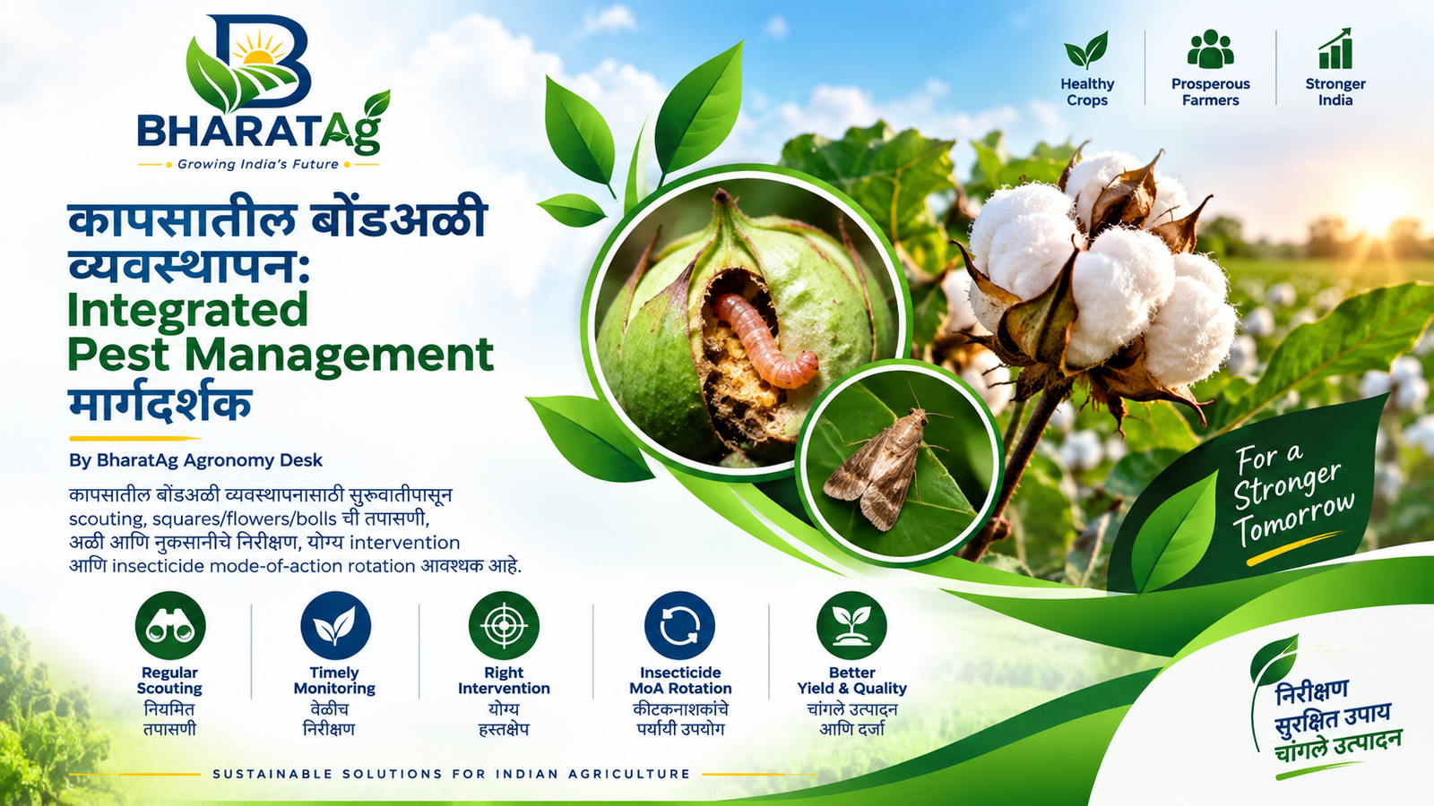 कापसातील बोंडअळी व्यवस्थापन: Integrated Pest Management मार्गदर्शक — BharatAg Crop Science