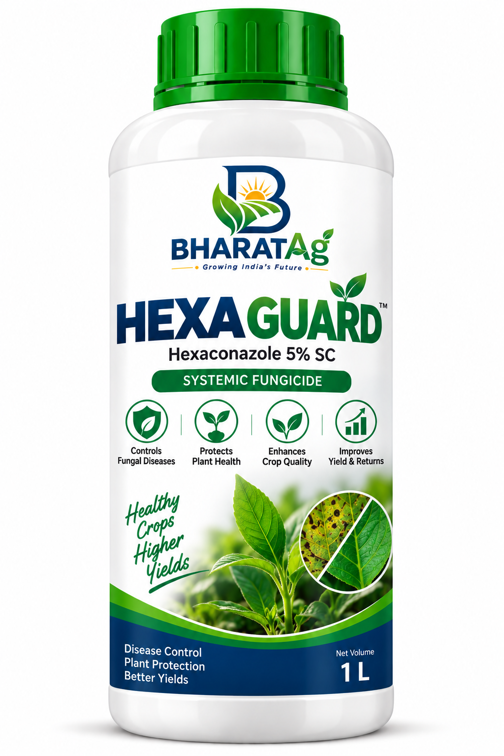 HEXAGUARD