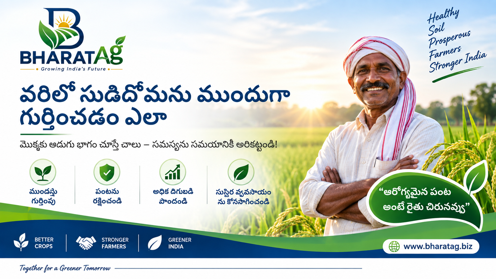 వరిలో సుడిదోమను ముందుగా గుర్తించడం ఎలా — BharatAg Crop Science