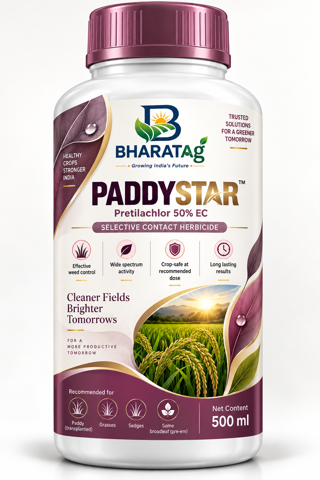 PADDYSTAR