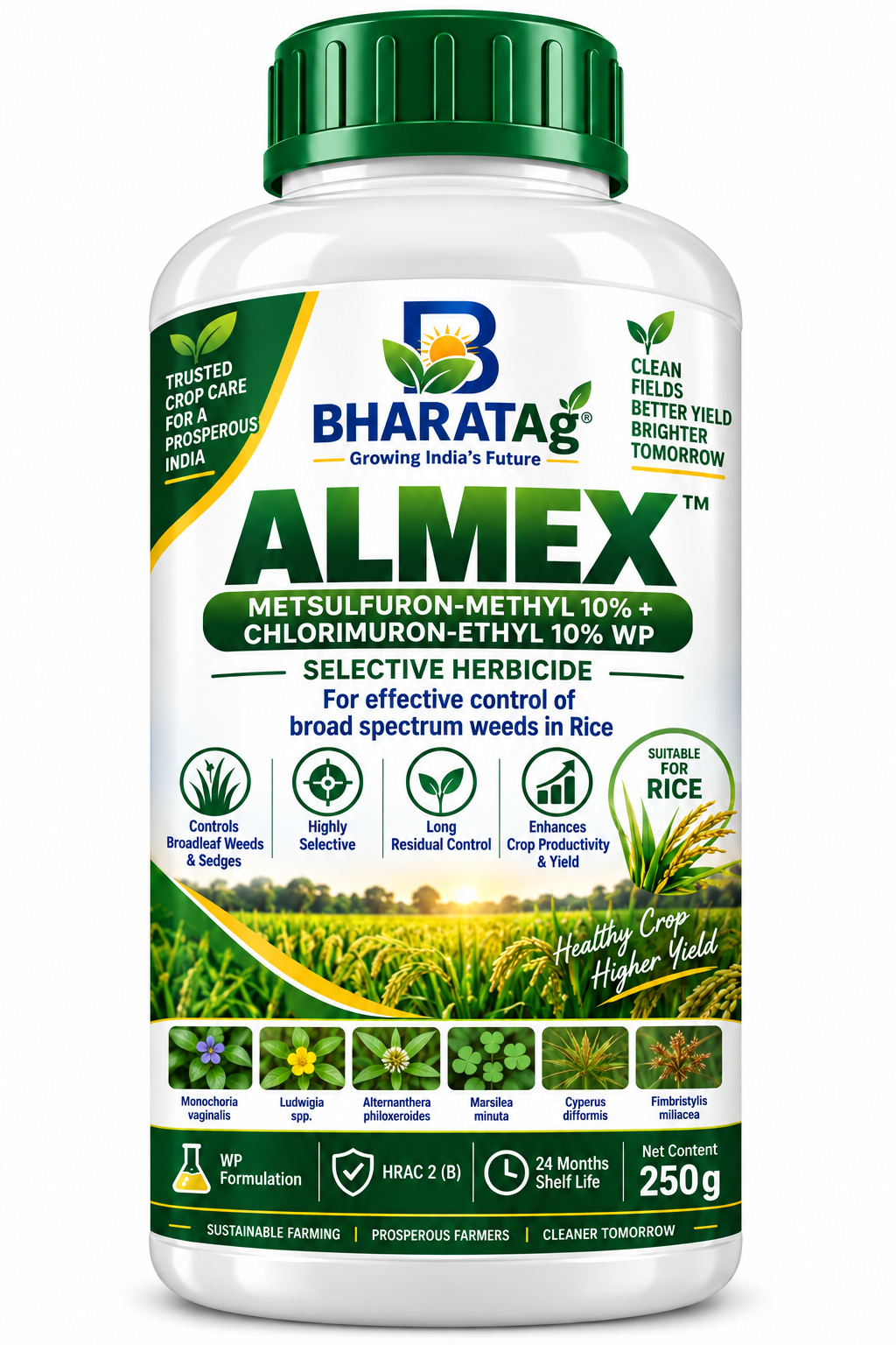ALMEX