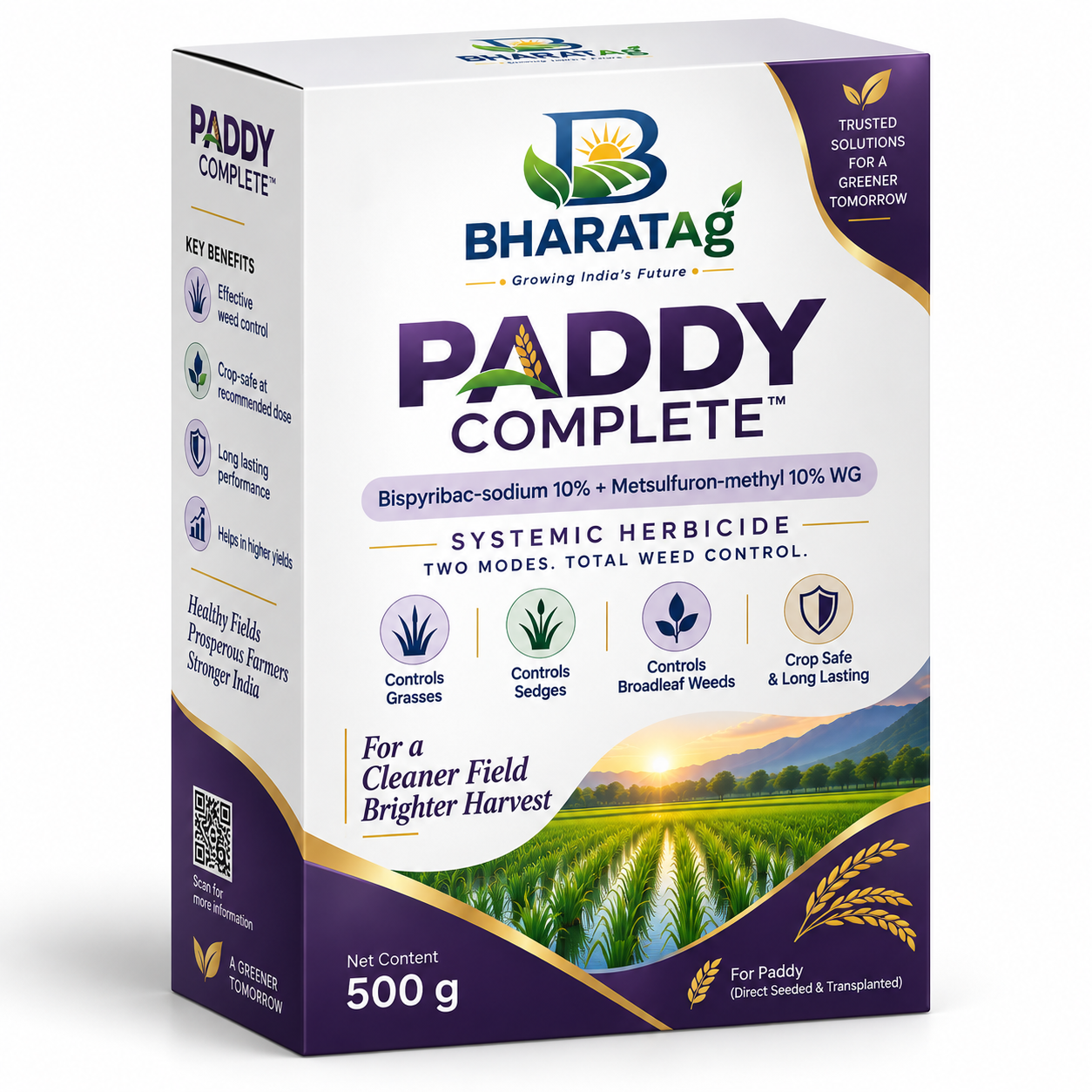 PADDY COMPLETE