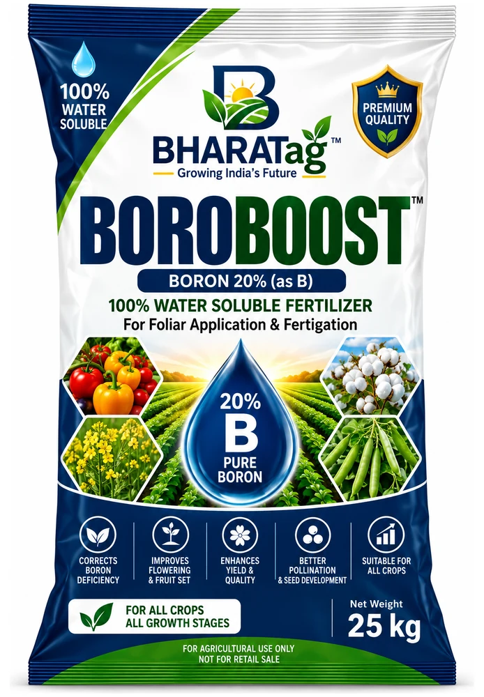 BOROBOOST