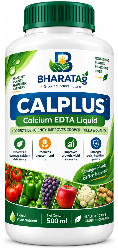 CALPLUS