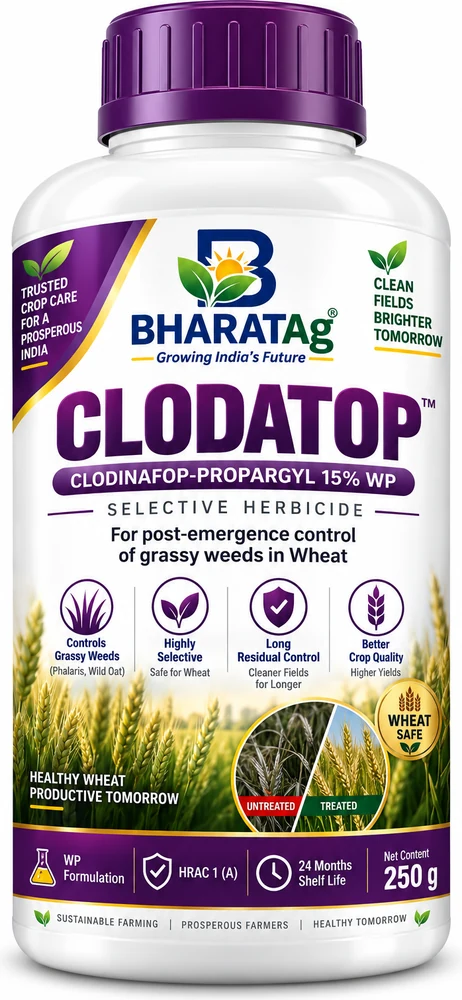 CLODATOP