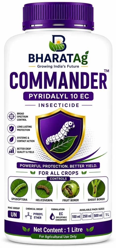 COMMANDER