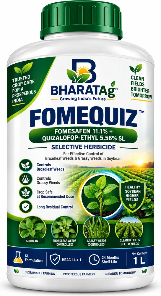 FOMEQUIZ