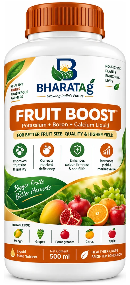 FRUIT BOOST