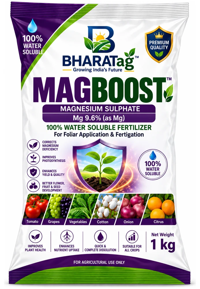 MAGBOOST