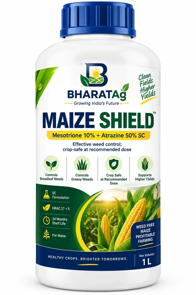 MAIZE SHIELD