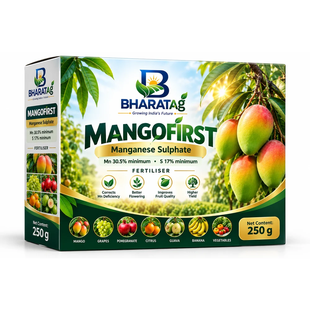 MANGOFIRST pack shot
