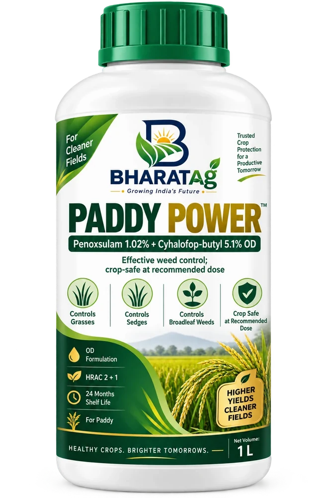 PADDY POWER
