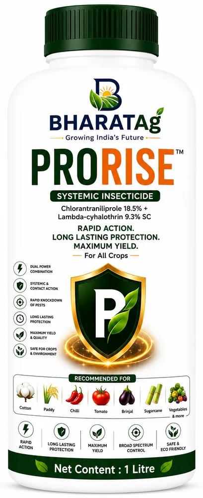 PRORISE