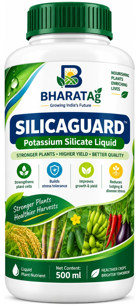 SILICAGUARD