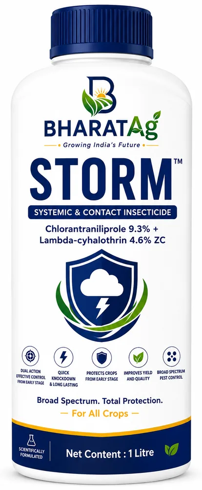 STORM